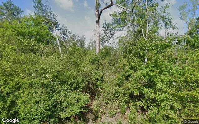 0.33 Acres in Ambrose - Coffee County, GA - Image 4