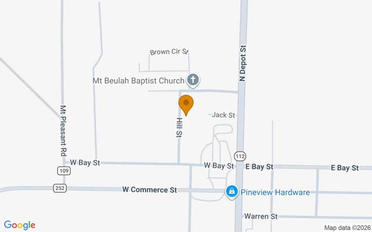 0.29 Acres in Pineview - Wilcox County, GA - Image 2