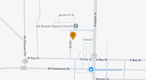 0.29 Acres in Pineview - Wilcox County, GA in Wilcox County, GA