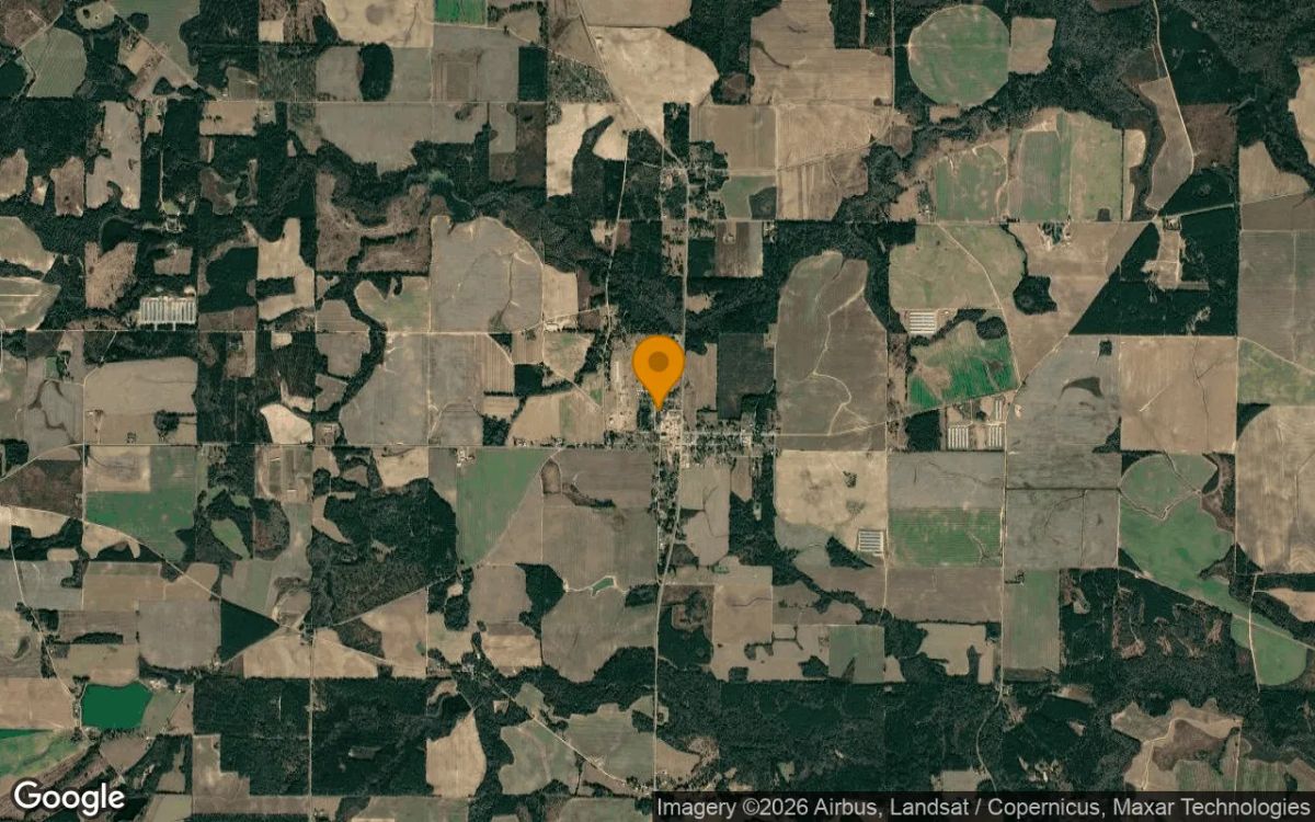 0.29 Acres in Pineview - Wilcox County, GA - Image 3