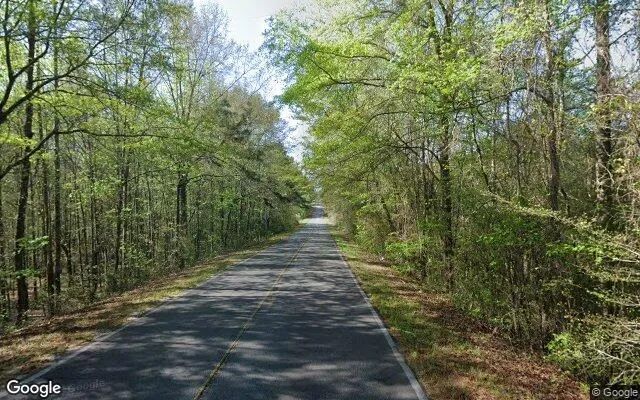 Decorative background for 1.64 Acres in Junction City - Talbot County, GA image 6