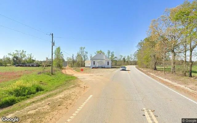 Decorative background for 0.49 Acres in Nunez - Emanuel County, GA image 5
