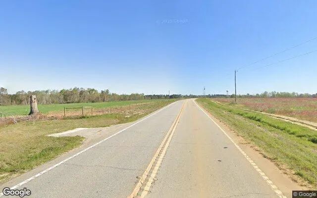 Decorative background for 0.49 Acres in Nunez - Emanuel County, GA image 6