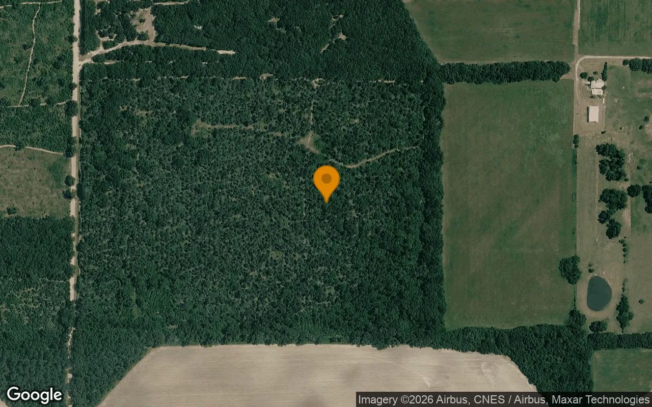 125.19 Acres in Camilla - Mitchell County, GA in Mitchell County, GA