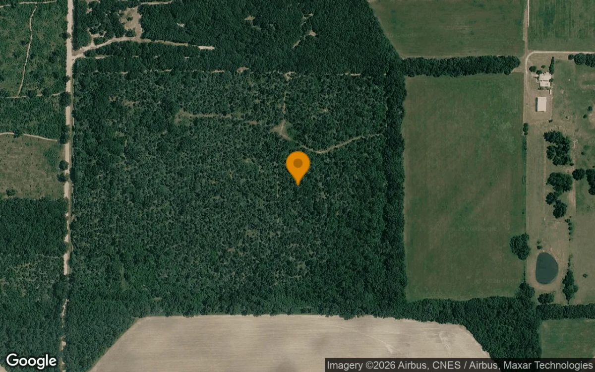 125.19 Acres in Camilla - Mitchell County, GA - Main image