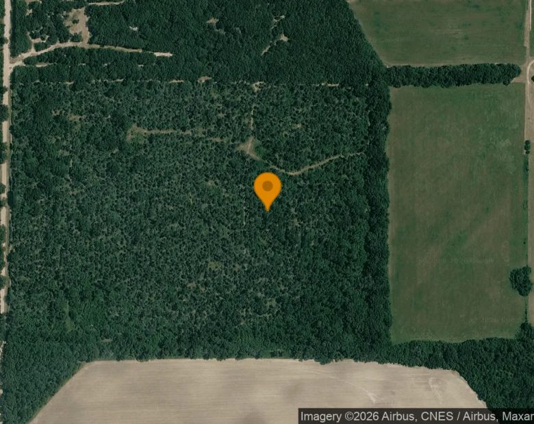 125.19 Acres in Camilla - Mitchell County, GA in Mitchell County, GA