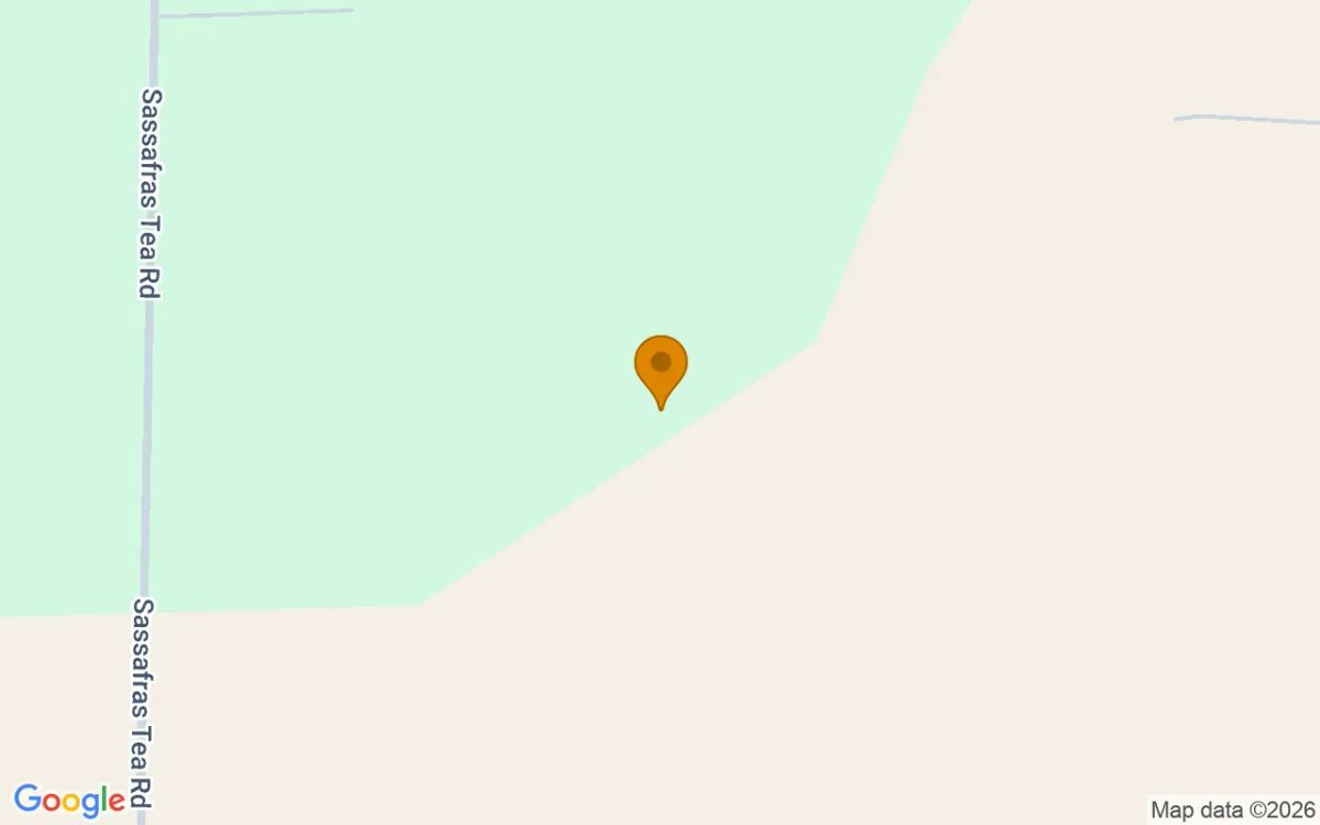 125.19 Acres in Camilla - Mitchell County, GA - Image 2