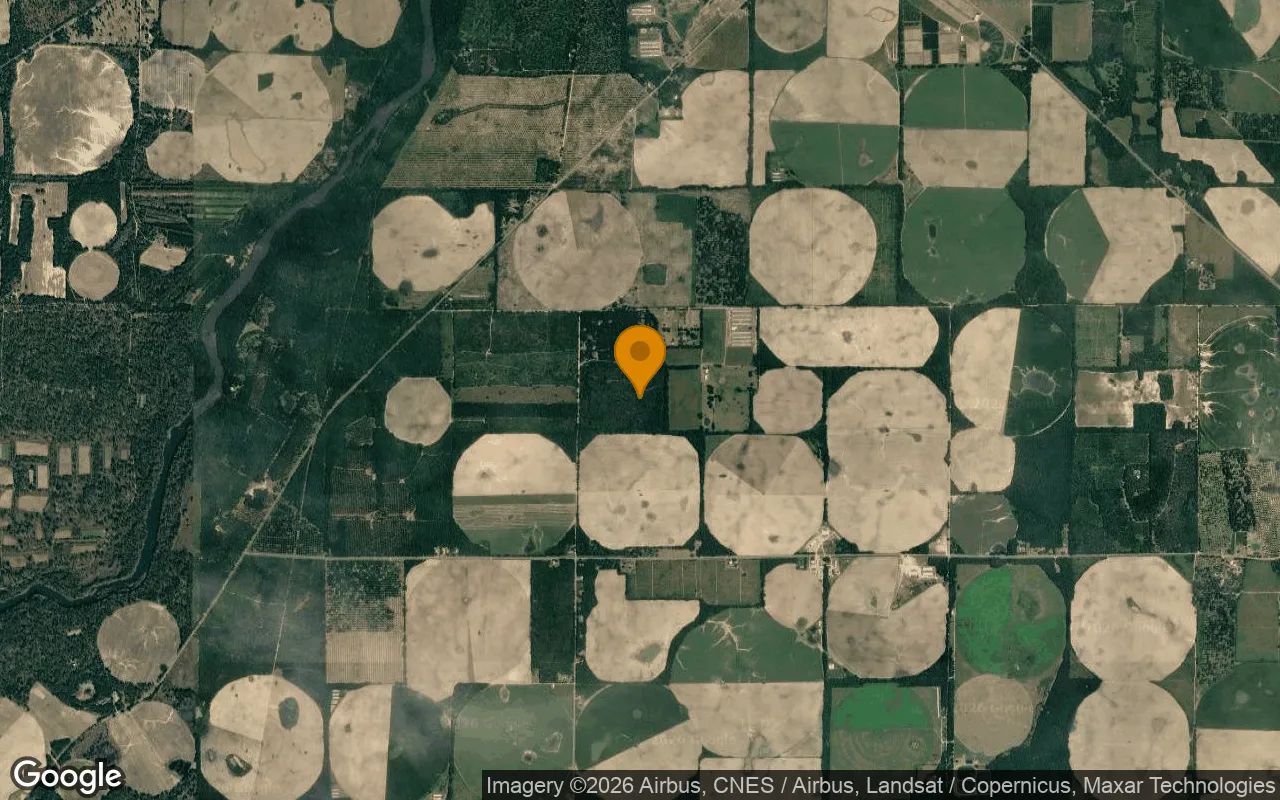 125.19 Acres in Camilla - Mitchell County, GA in Mitchell County, GA