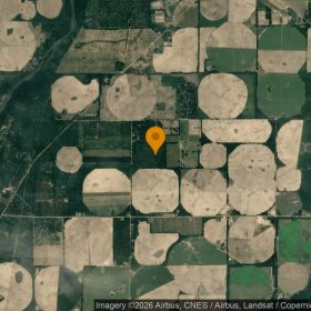 125.19 Acres in Camilla - Mitchell County, GA in Mitchell County, GA