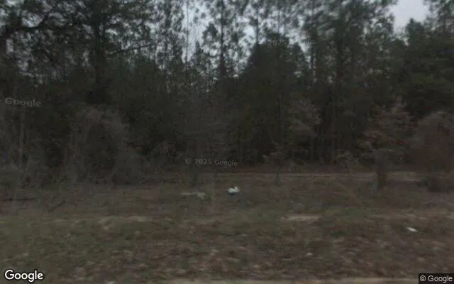 125.19 Acres in Camilla - Mitchell County, GA in Mitchell County, GA