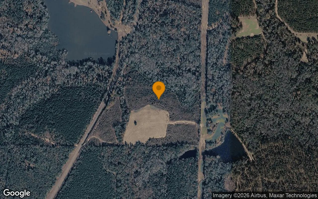 34.5 Acres in Cuthbert - Randolph County, GA in Randolph County, GA