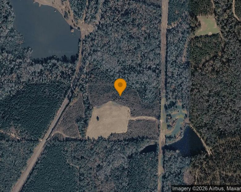 34.5 Acres in Cuthbert - Randolph County, GA in Randolph County, GA