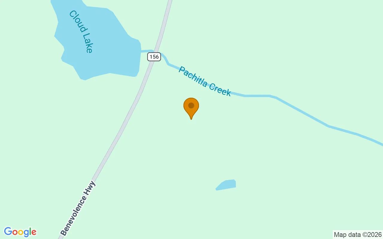 34.5 Acres in Cuthbert - Randolph County, GA in Randolph County, GA