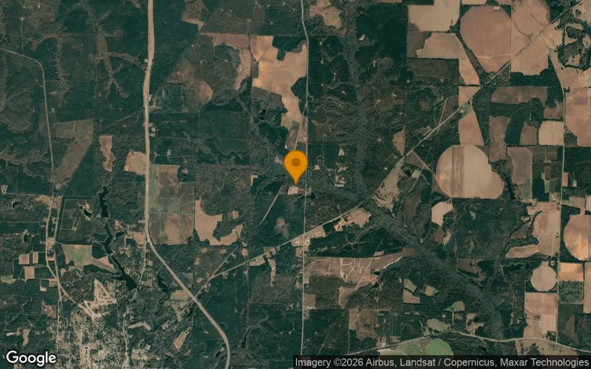 34.5 Acres in Cuthbert - Randolph County, GA - Image 3