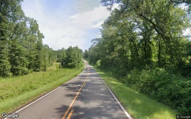 Decorative background for 34.5 Acres in Cuthbert - Randolph County, GA image 5