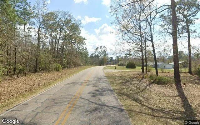 Decorative background for 0.55 Acres in Donalsonville - Seminole County, GA image 6
