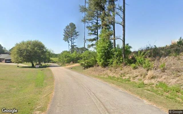 Decorative background for 0.66 Acres in Franklin Springs - Franklin County, GA image 6