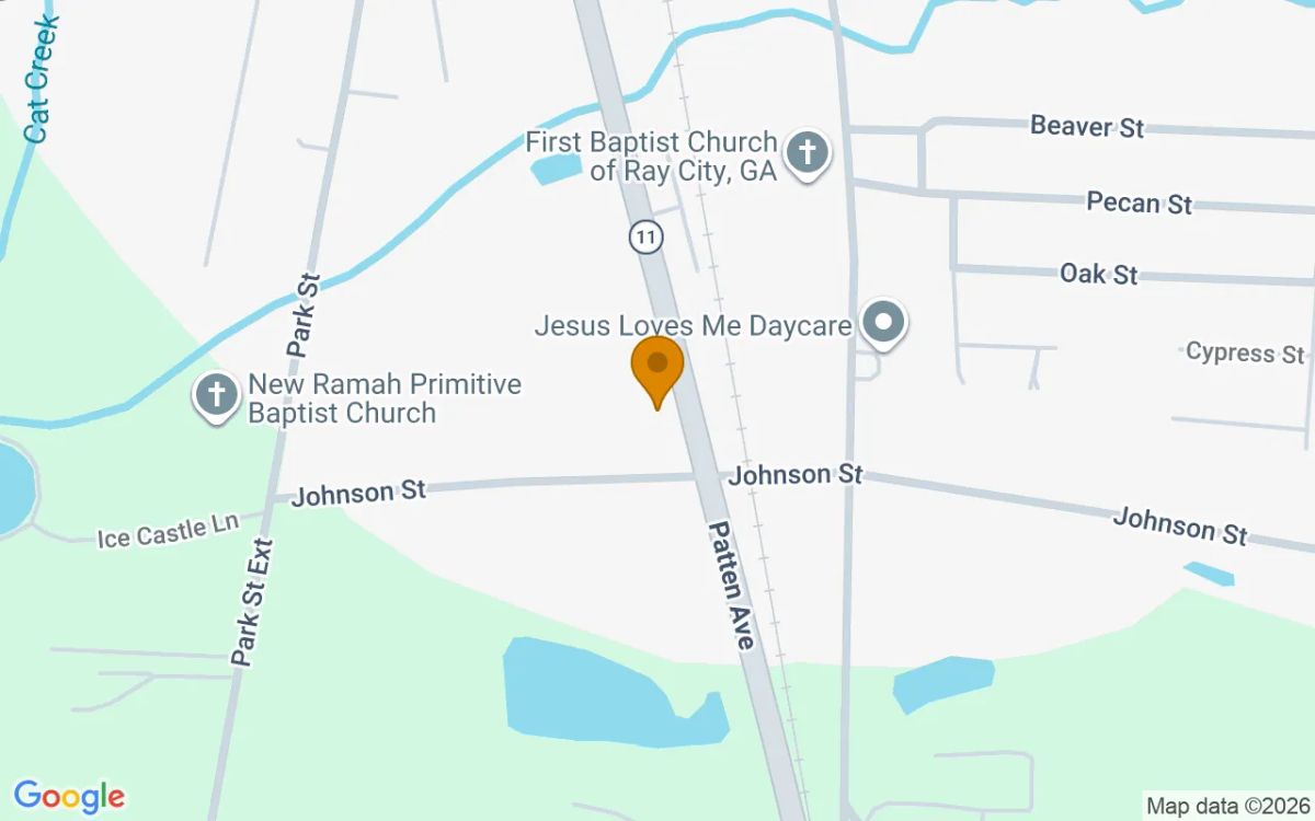 0.47 Acres in Ray City - Berrien County, GA - Image 2