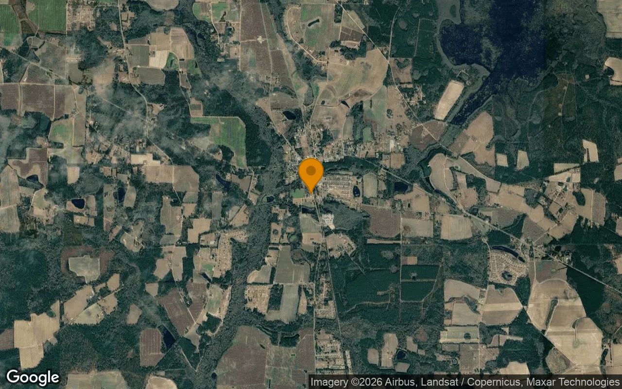 0.47 Acres in Ray City - Berrien County, GA in Berrien County, GA