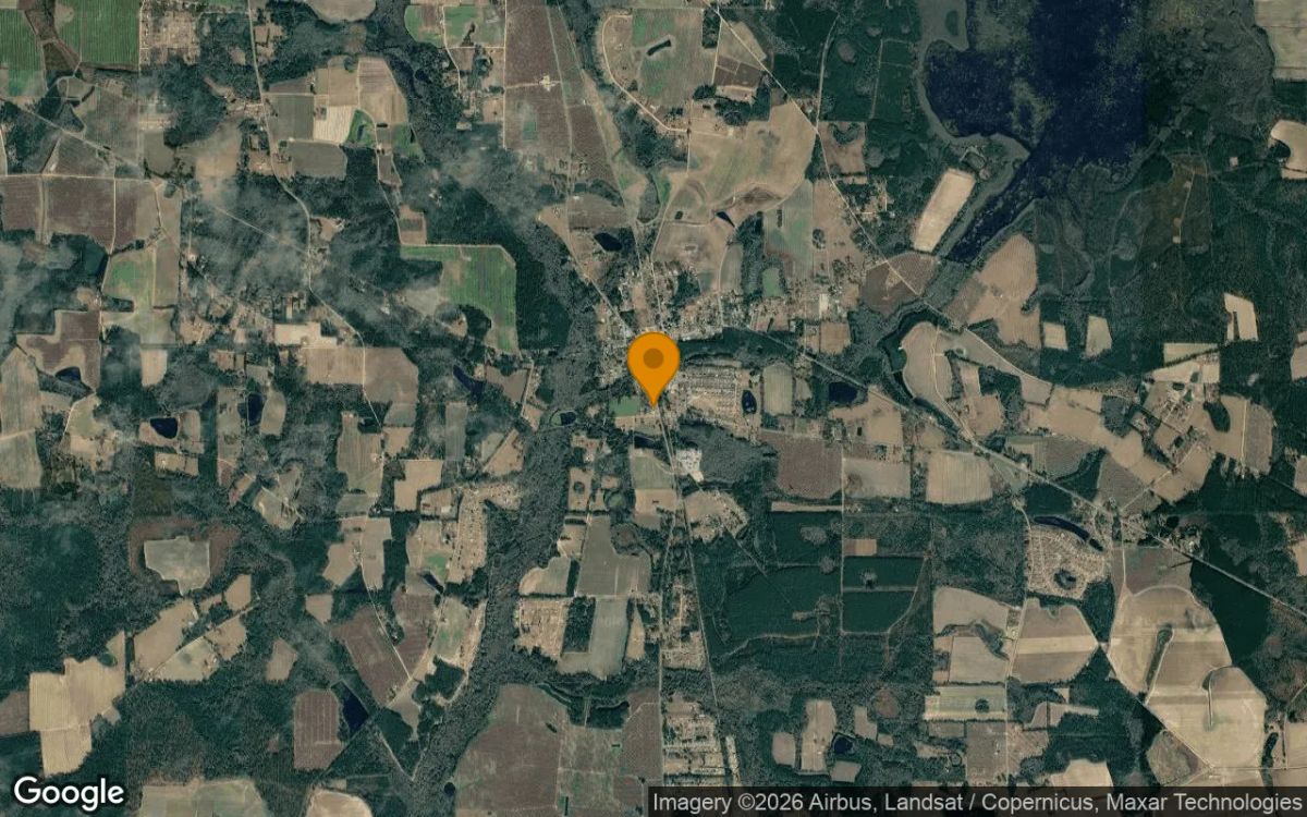0.47 Acres in Ray City - Berrien County, GA - Image 3
