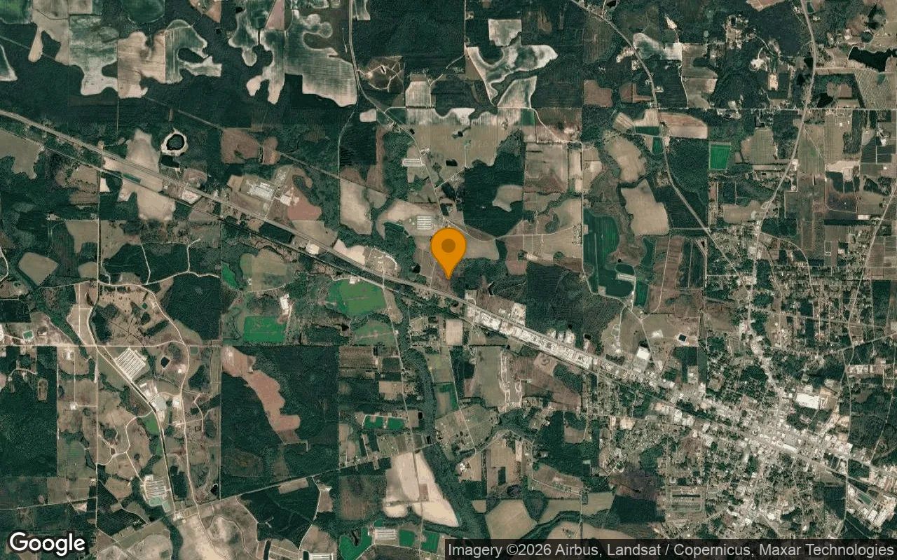 34.89 Acres in Baxley - Appling County, GA in Appling County, GA
