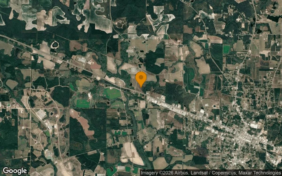 34.89 Acres in Baxley - Appling County, GA - Image 3