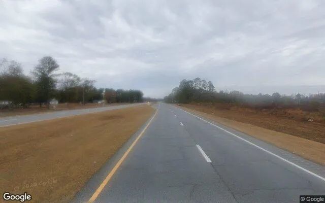 Decorative background for 34.89 Acres in Baxley - Appling County, GA image 5