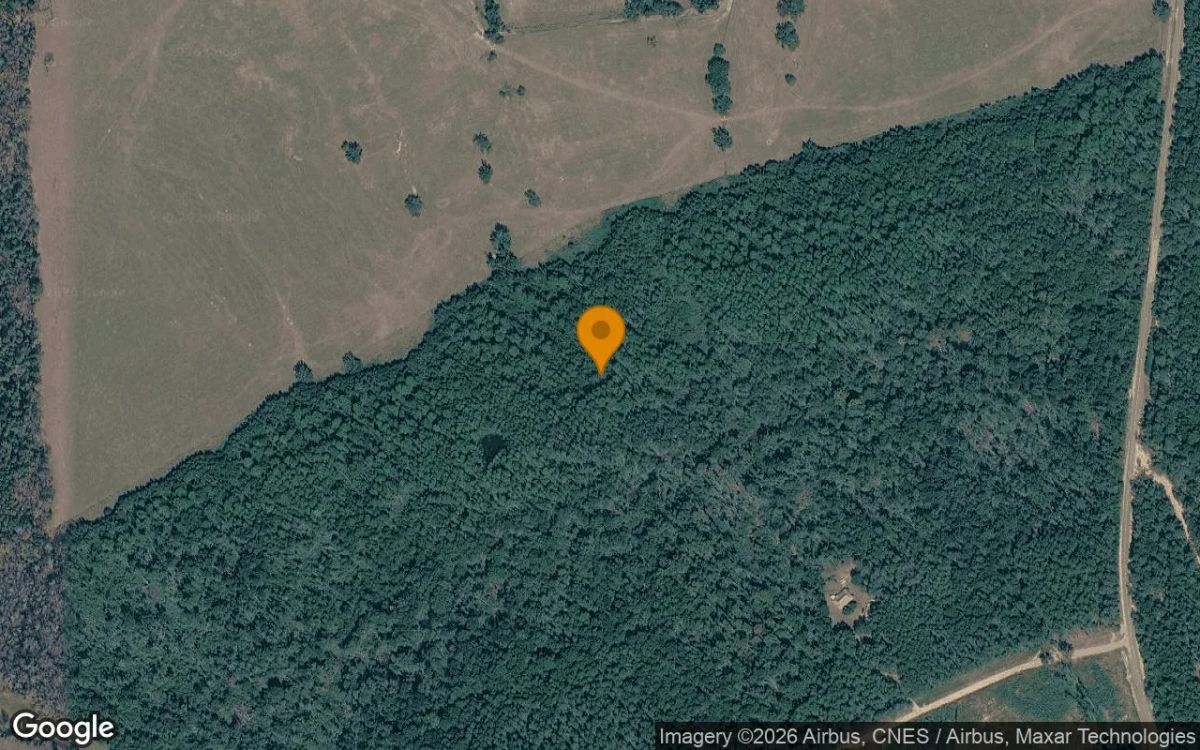 125.32 Acres in Keysville - Burke County, GA - Main image