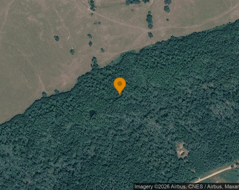 125.32 Acres in Keysville - Burke County, GA in Burke County, GA