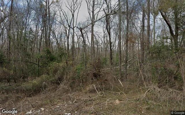125.32 Acres in Keysville - Burke County, GA in Burke County, GA