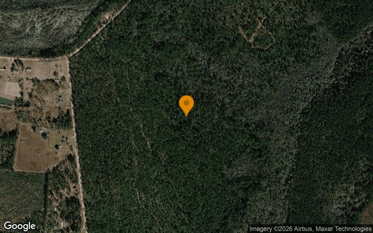 74.31 Acres in Argyle - Clinch County, GA - Main image