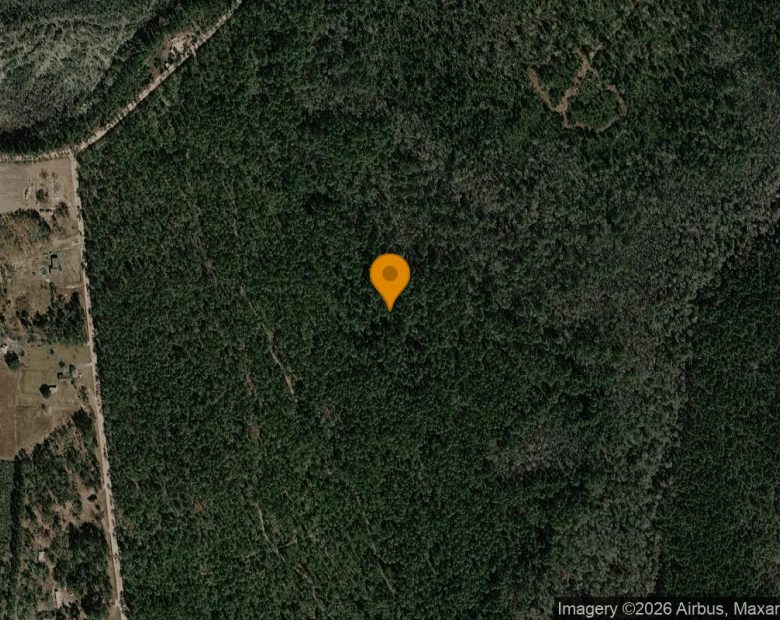 74.31 Acres in Argyle - Clinch County, GA in Clinch County, GA