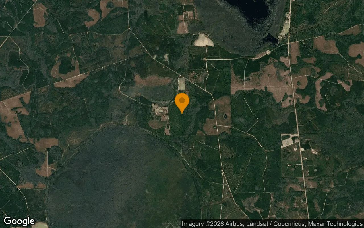 74.31 Acres in Argyle - Clinch County, GA in Clinch County, GA