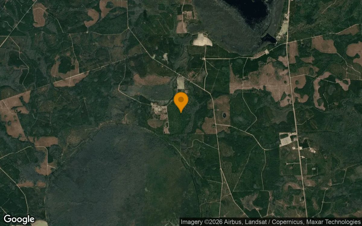 74.31 Acres in Argyle - Clinch County, GA - Image 3