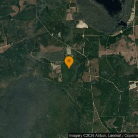 74.31 Acres in Argyle - Clinch County, GA in Clinch County, GA