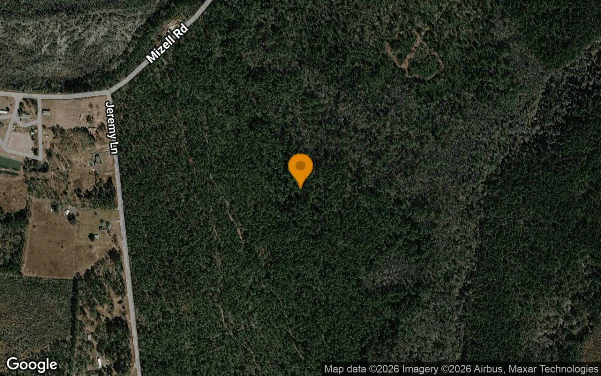 Decorative background for 74.31 Acres in Argyle - Clinch County, GA image 6