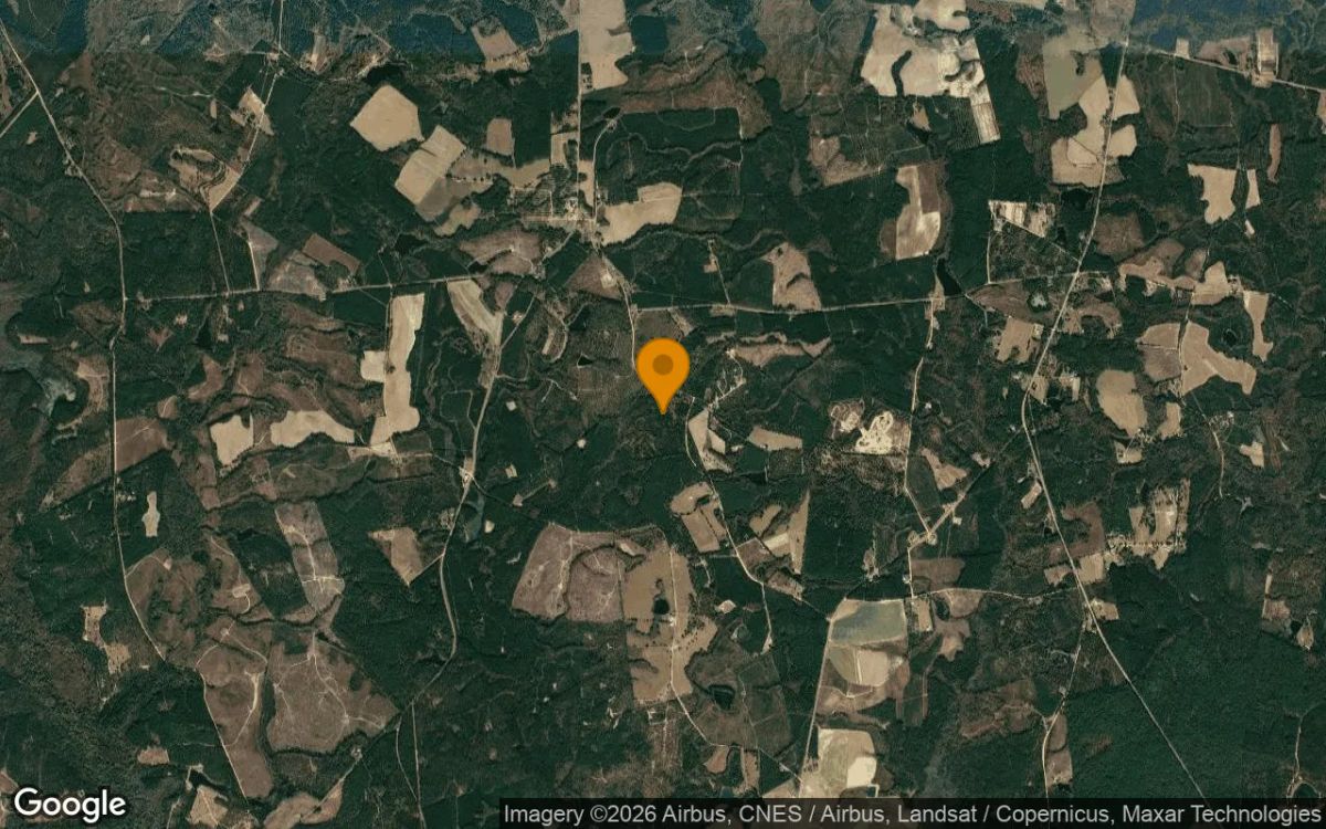 35.3 Acres in Adrian - Johnson County, GA - Image 3