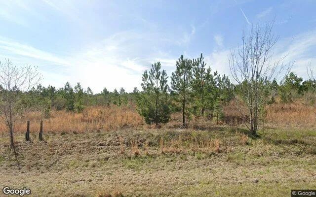 35.3 Acres in Adrian - Johnson County, GA - Image 4