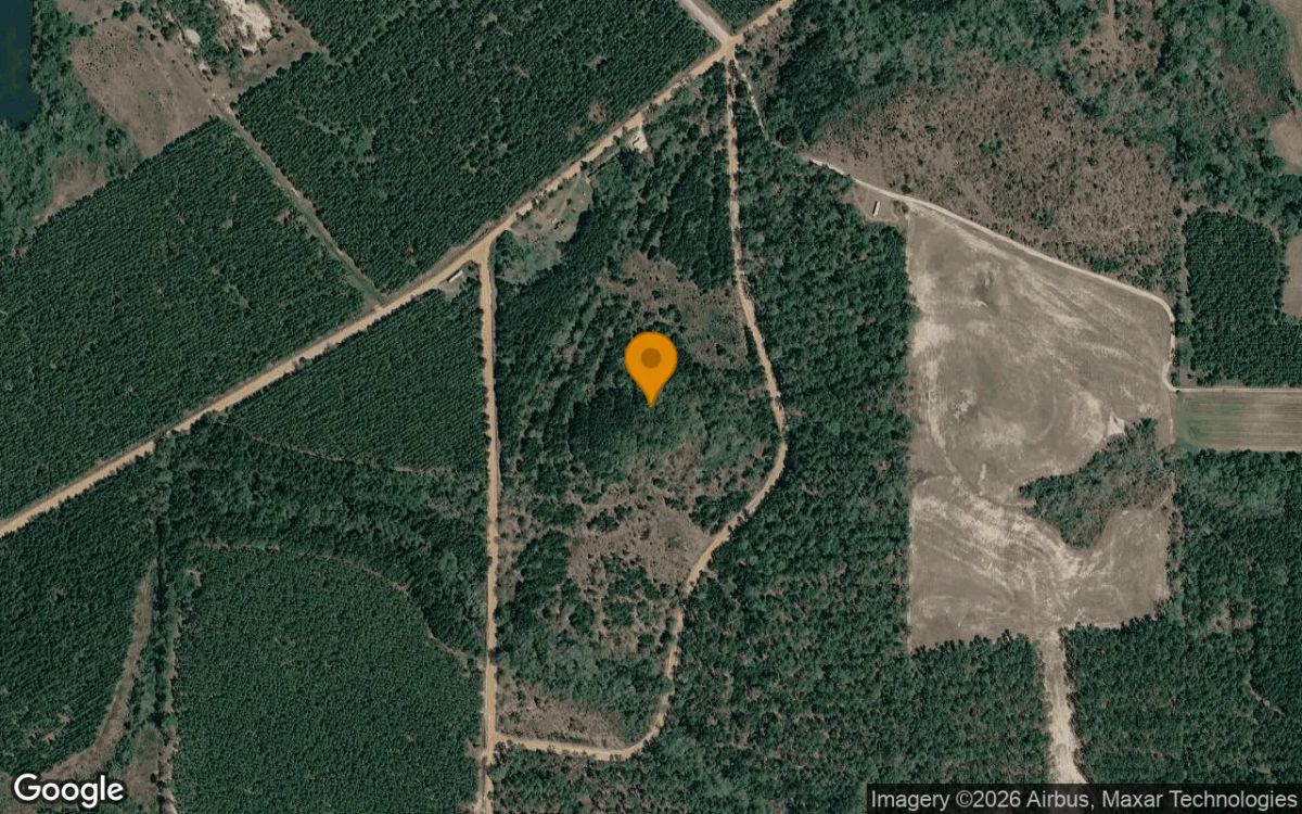 74.8 Acres in Abbeville - Wilcox County, GA - Main image
