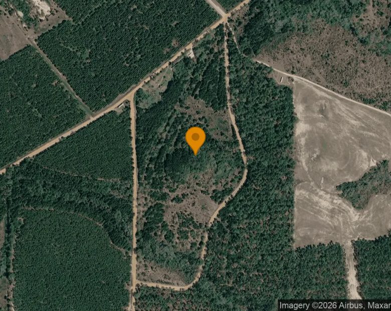 74.8 Acres in Abbeville - Wilcox County, GA in Wilcox County, GA