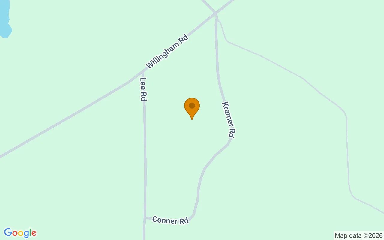 74.8 Acres in Abbeville - Wilcox County, GA in Wilcox County, GA