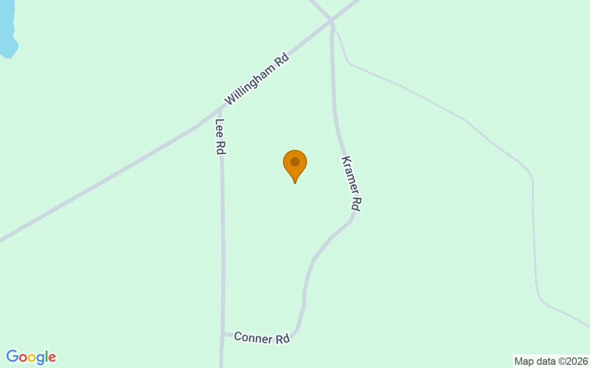 74.8 Acres in Abbeville - Wilcox County, GA - Image 2