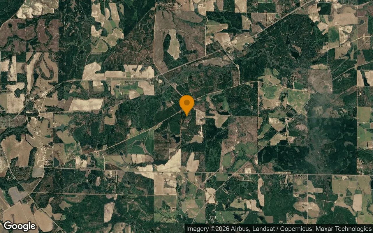 74.8 Acres in Abbeville - Wilcox County, GA in Wilcox County, GA