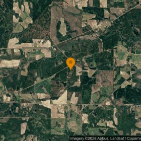 74.8 Acres in Abbeville - Wilcox County, GA in Wilcox County, GA
