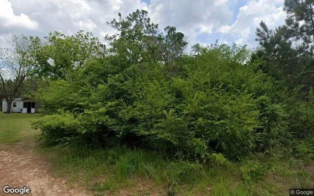 74.8 Acres in Abbeville - Wilcox County, GA - Image 4