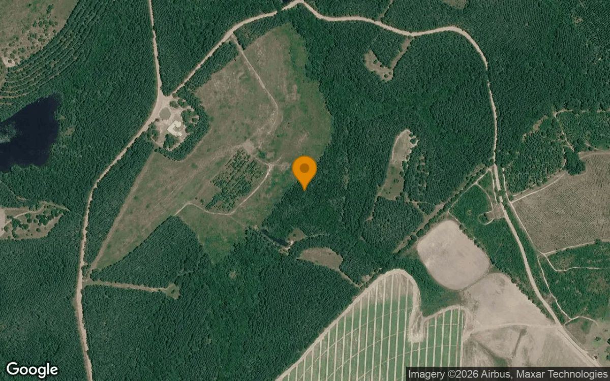 34.83 Acres in Milan - Telfair County, GA - Main image