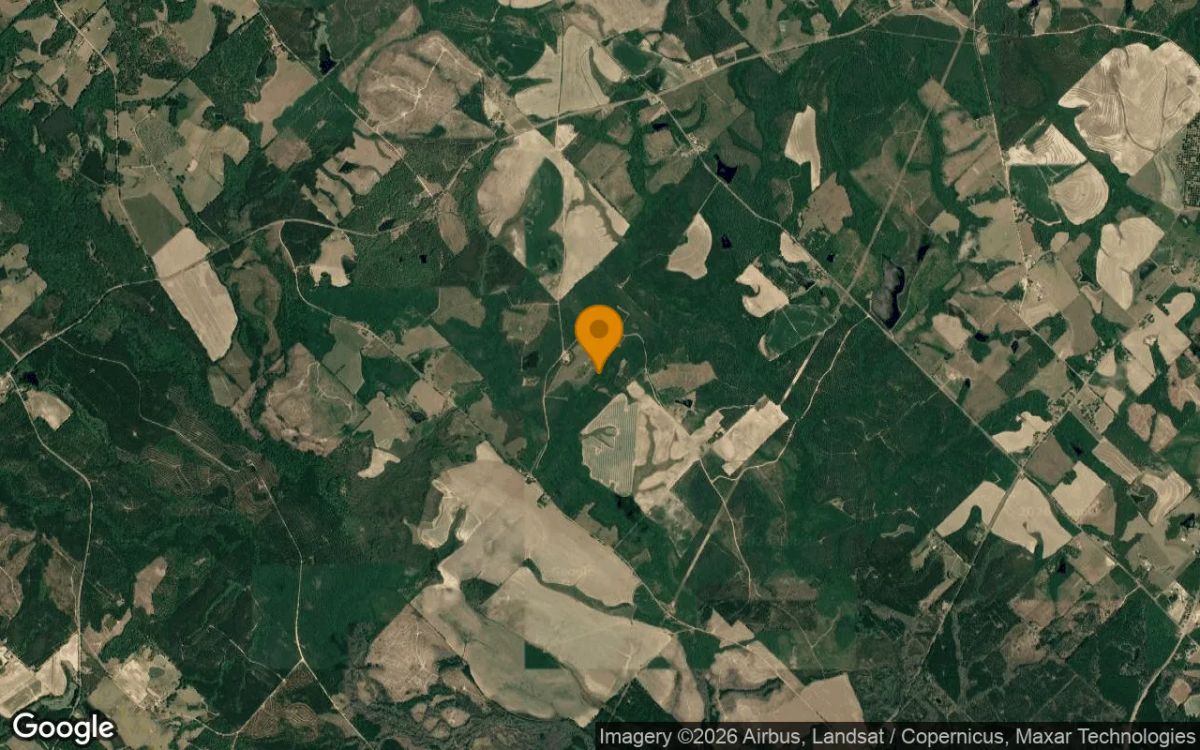 34.83 Acres in Milan - Telfair County, GA - Image 3