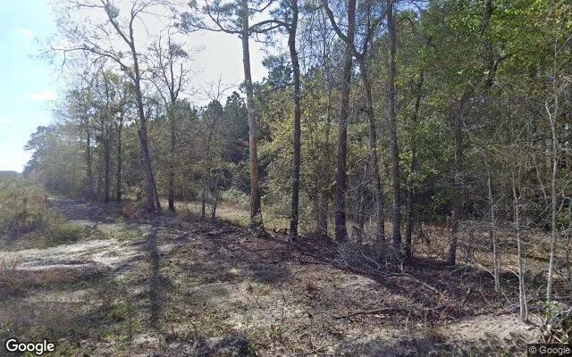 34.83 Acres in Milan - Telfair County, GA in Telfair County, GA
