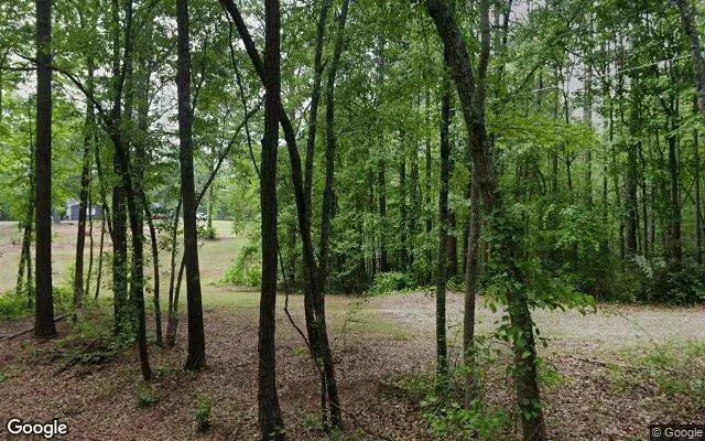 Decorative background for 0.18 Acres in Whitesburg - Carroll County, GA image 5