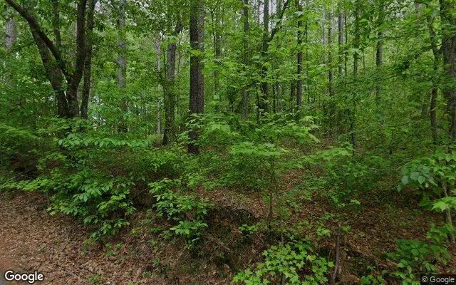 Decorative background for 0.18 Acres in Whitesburg - Carroll County, GA image 6